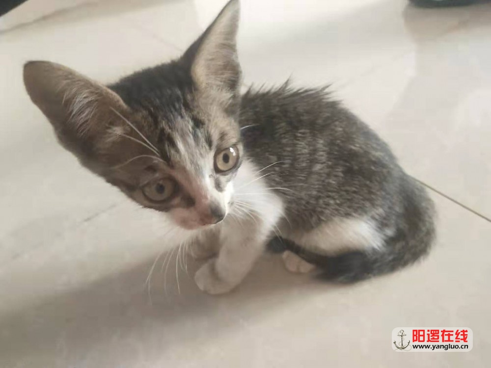 微信图片_20190802170614.jpg
