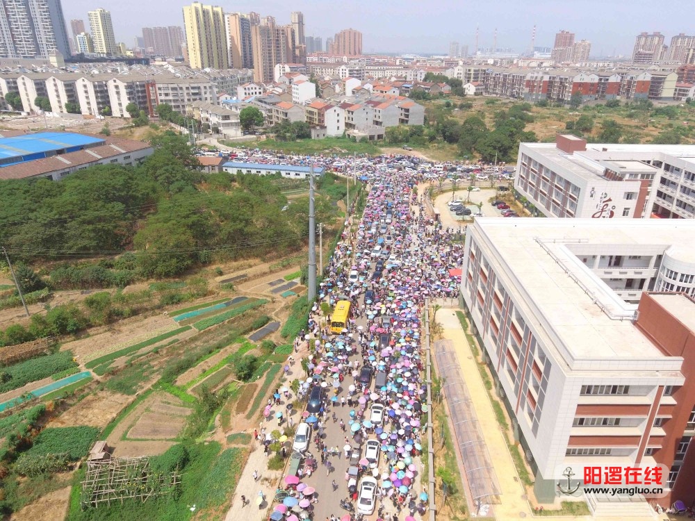 新一小2.jpg