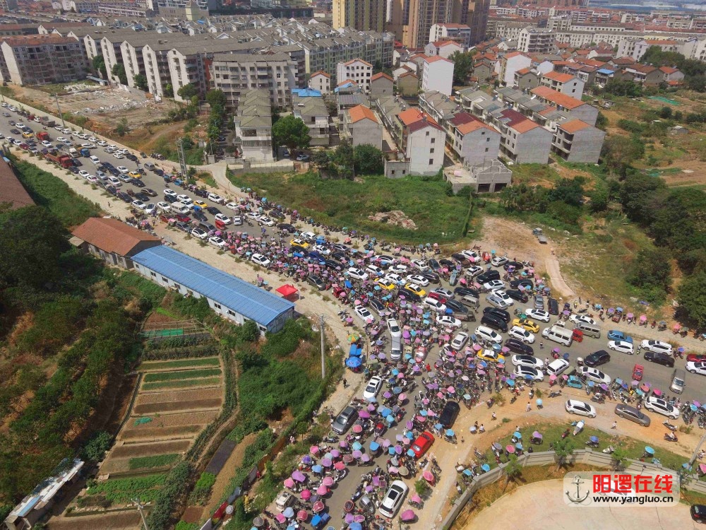 新一小3_副本.jpg