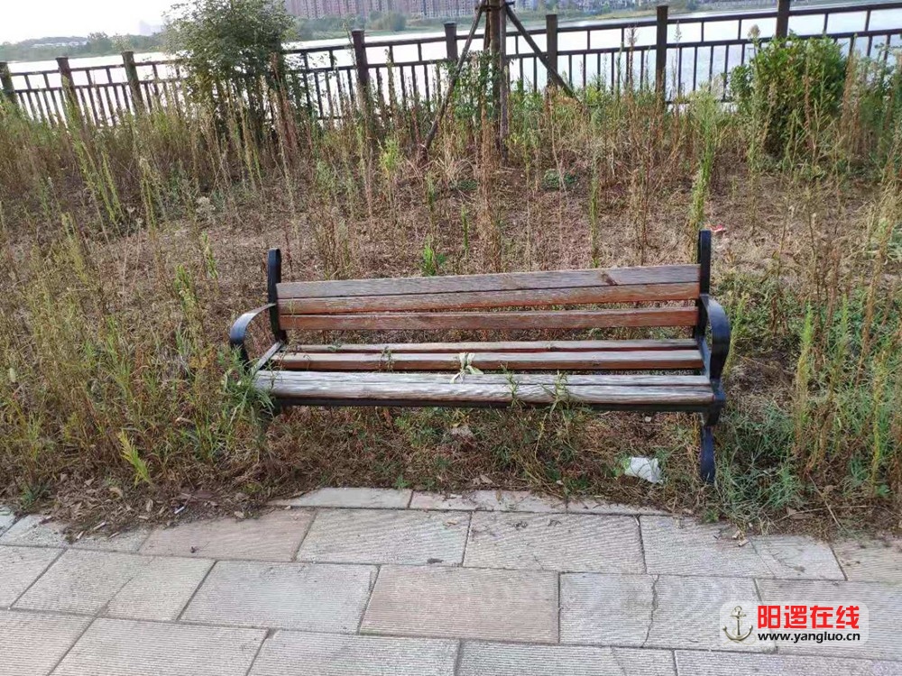 03.jpg