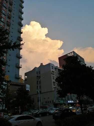IMG_20190728_192508.jpg