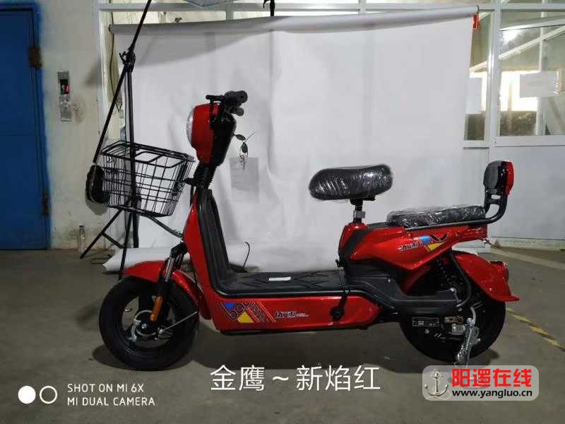 mmexport1573445671662.jpg