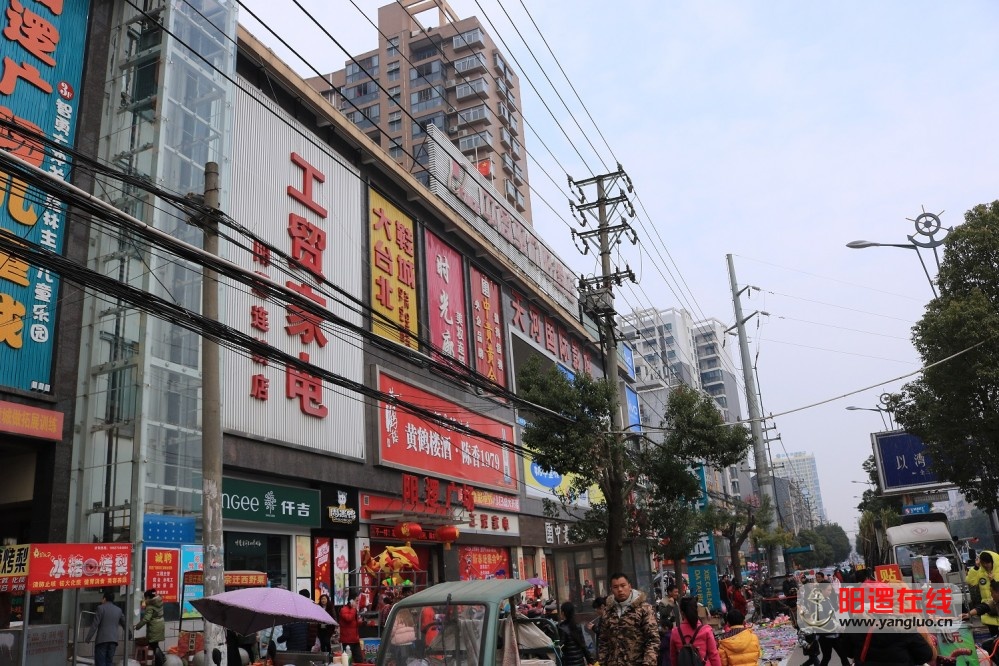 阳逻采风