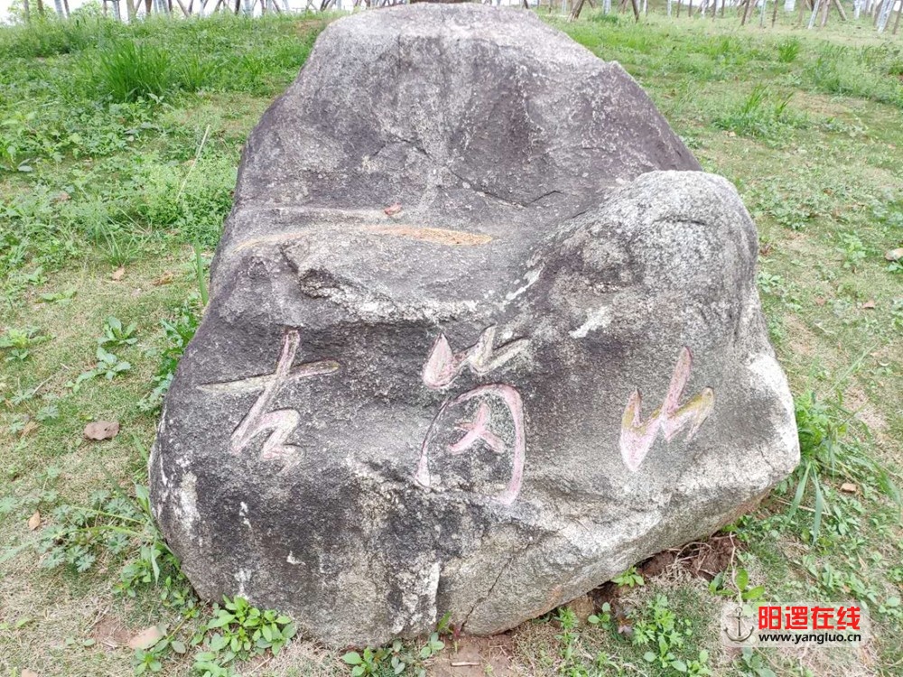 07.jpg