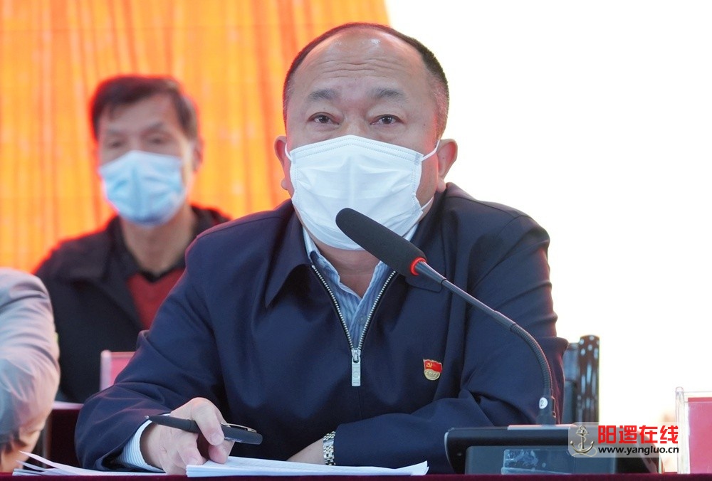 阳逻街道党工委书记张水泉做报告