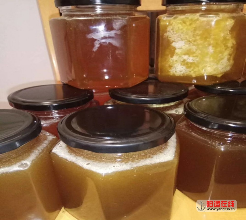 中华蜜蜂蜂蜜