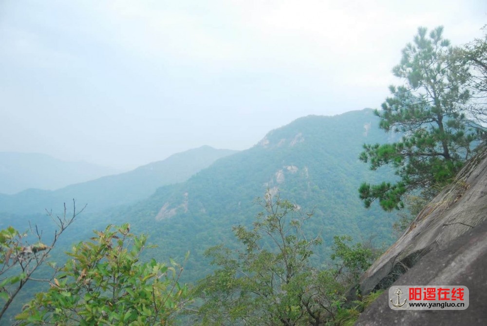 微信图片_20201004161436.jpg