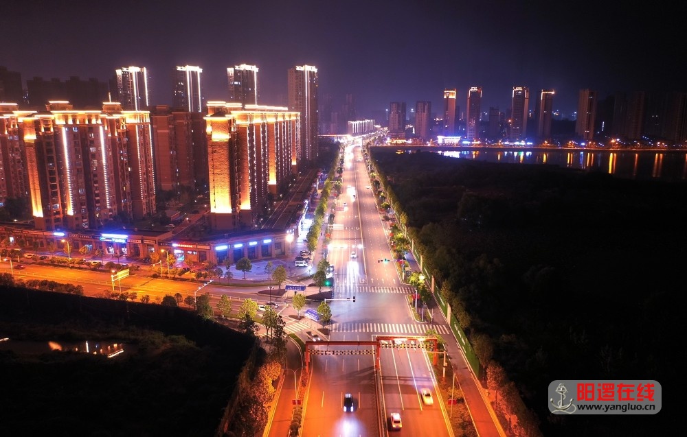 阳逻新城夜景20201007.jpg