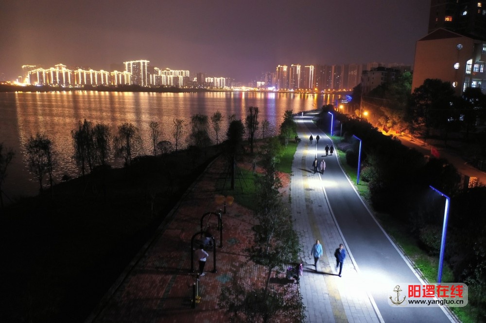 阳逻新城夜景20201007f.jpg