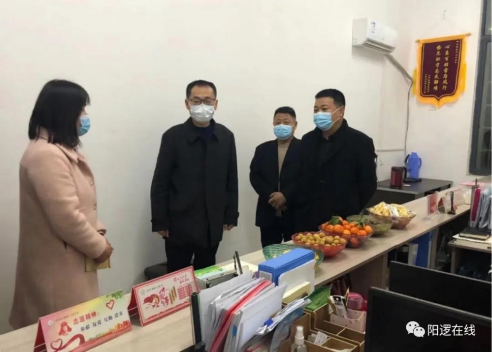 新洲区副区长邓辉、阳逻街道办主任申济丰