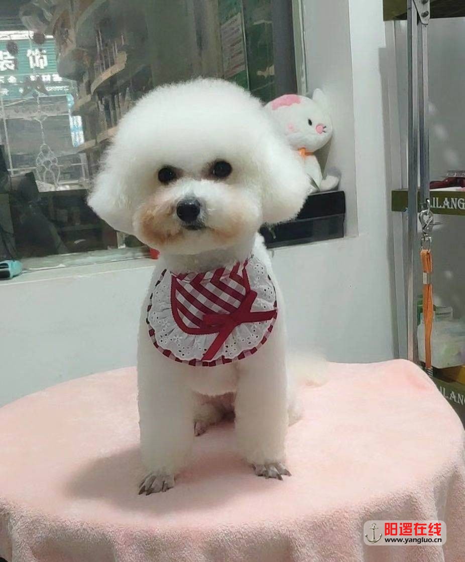 微信图片_20210220173105.jpg
