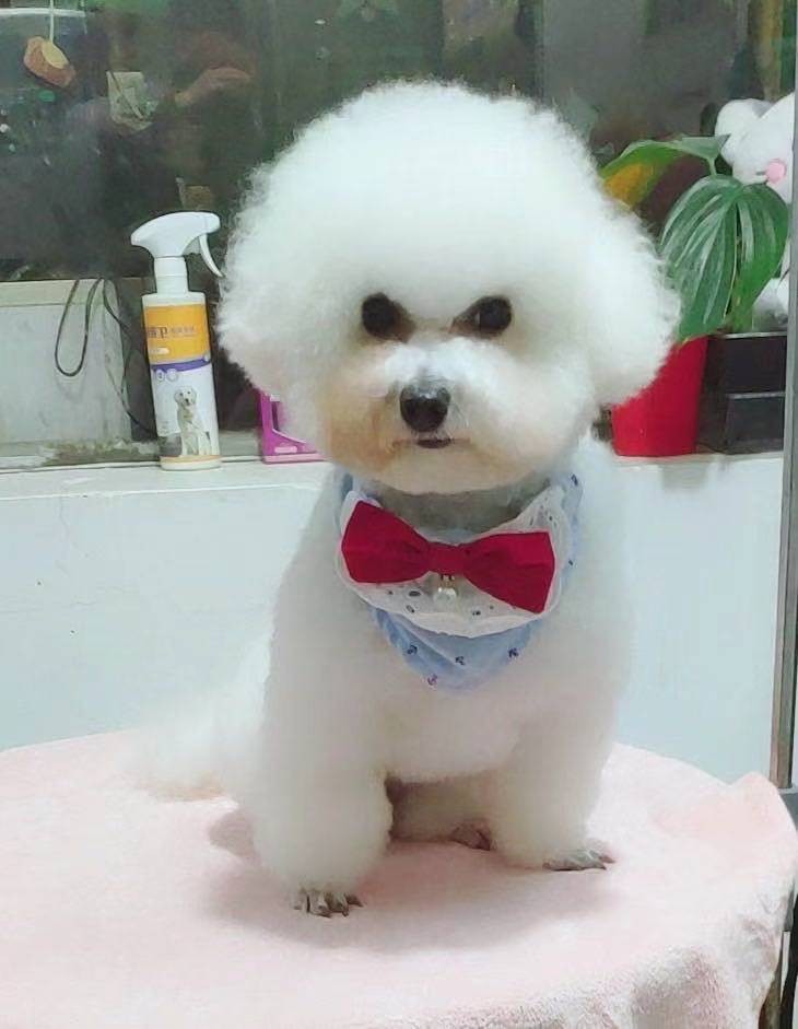 微信图片_20210220173138.jpg