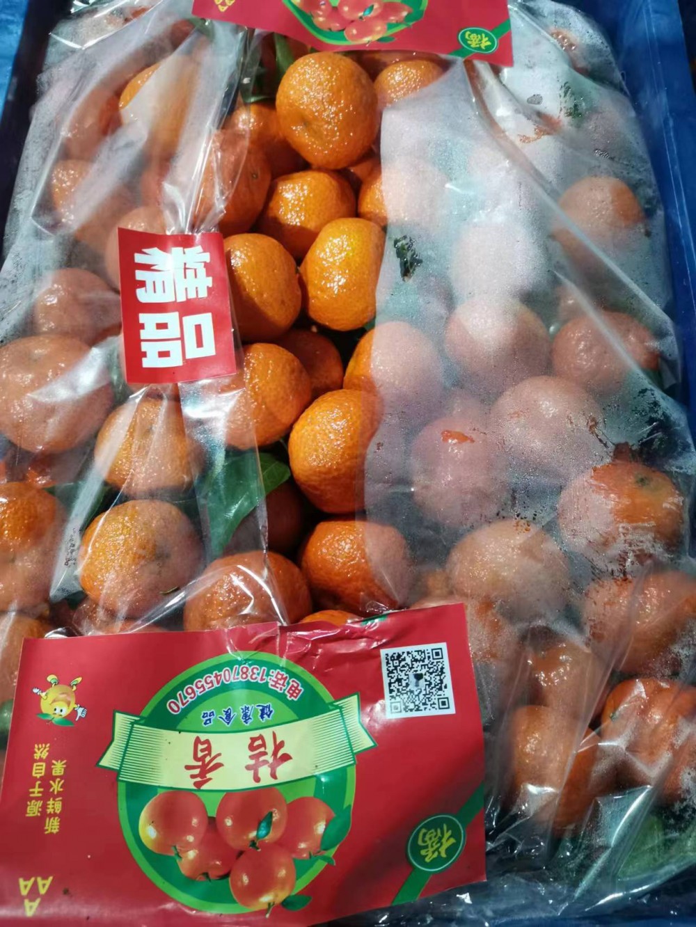 微信图片_20230301175513.jpg