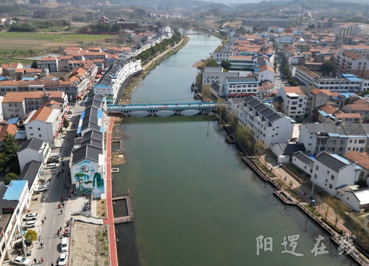 DJI_0445_副本.jpg