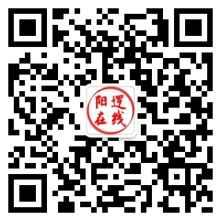 新洲阳逻在线服务号.png