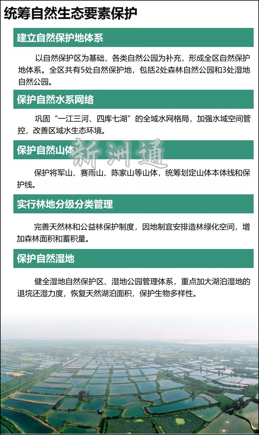 qw6.jpg