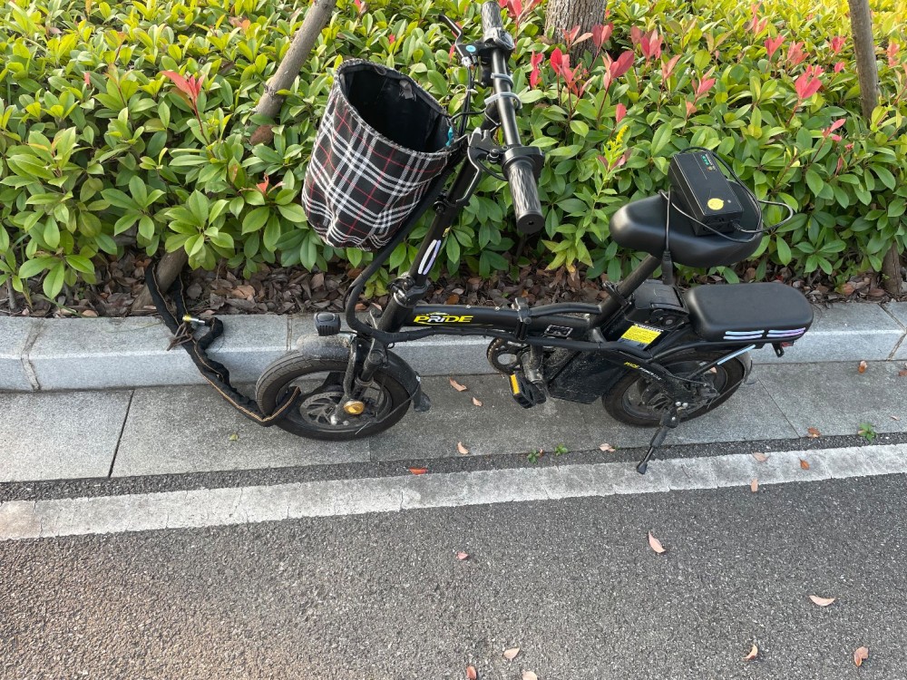 IMG_0424.jpeg