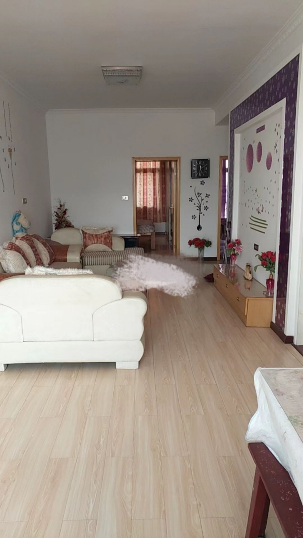 mmexport1710129821308.jpg