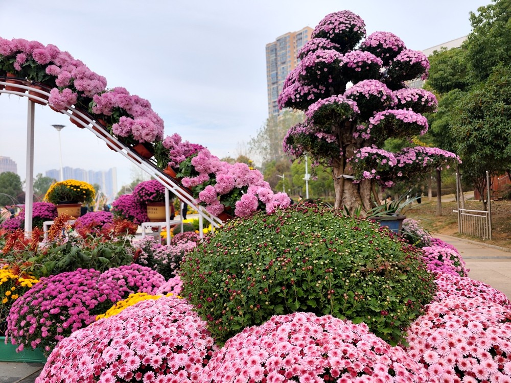 IMG_20241109_100500_副本.jpg