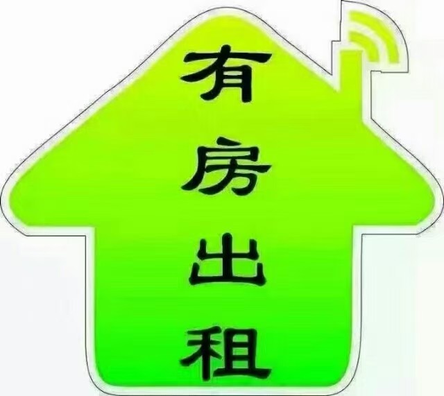 mmexport1734495696740.jpg