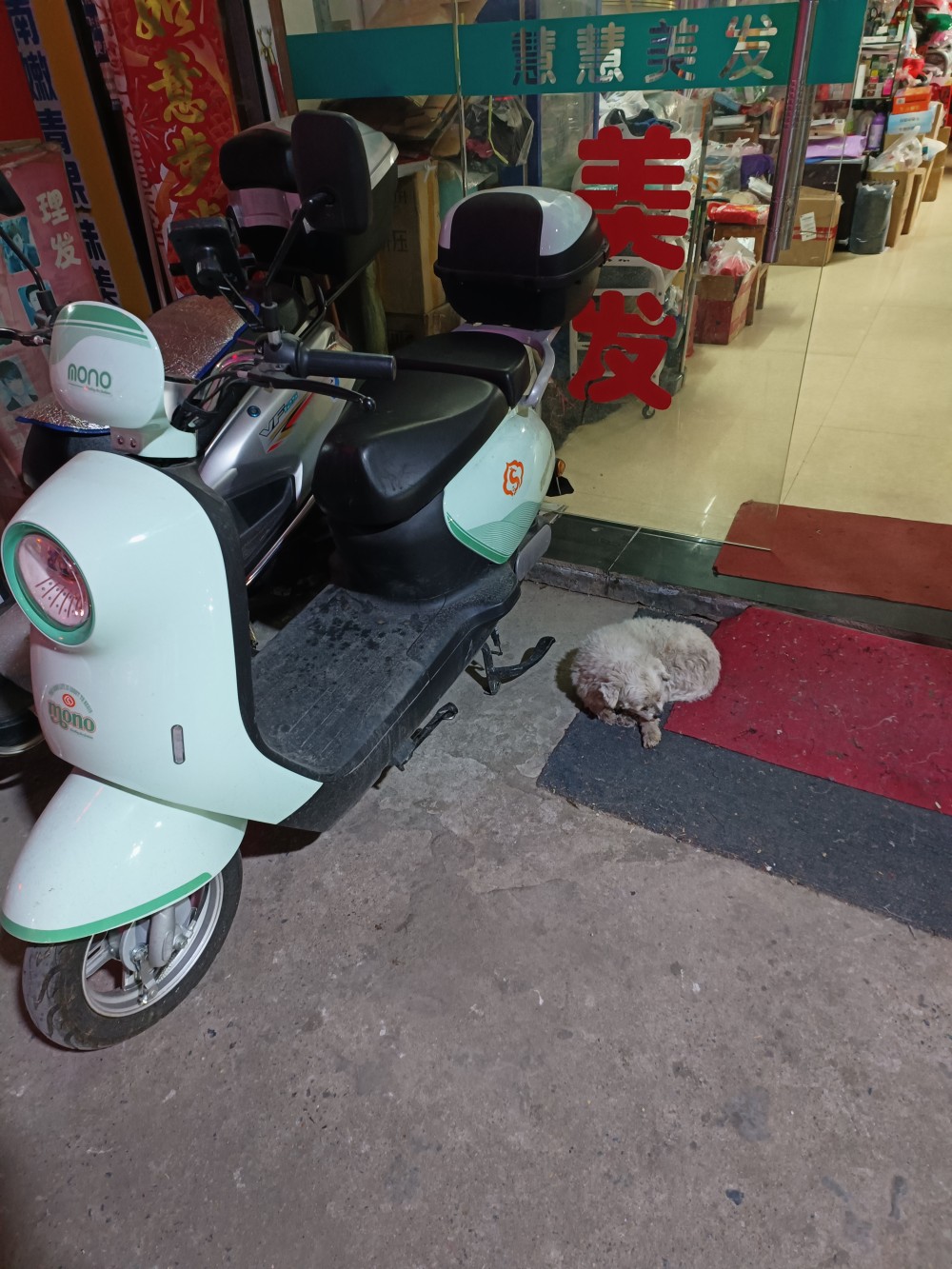 IMG20250114185913.jpg