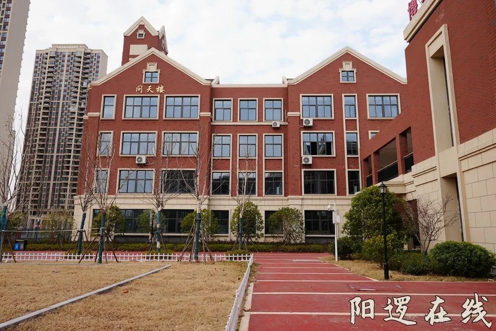 qw6.jpg