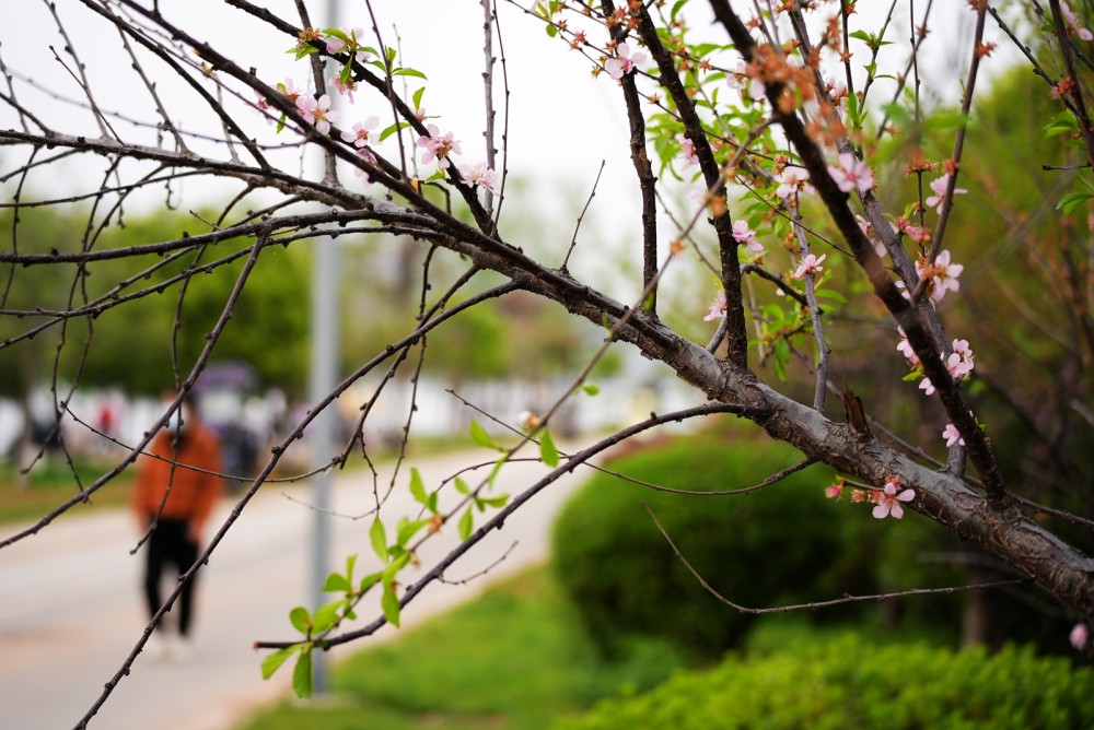 DSC01288_副本.jpg