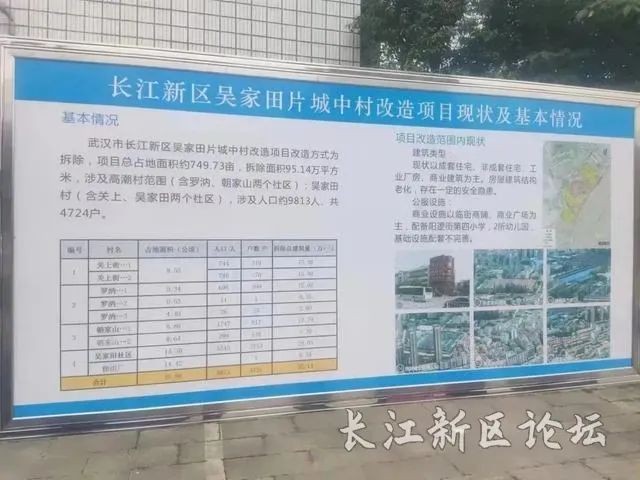 qw3.jpg