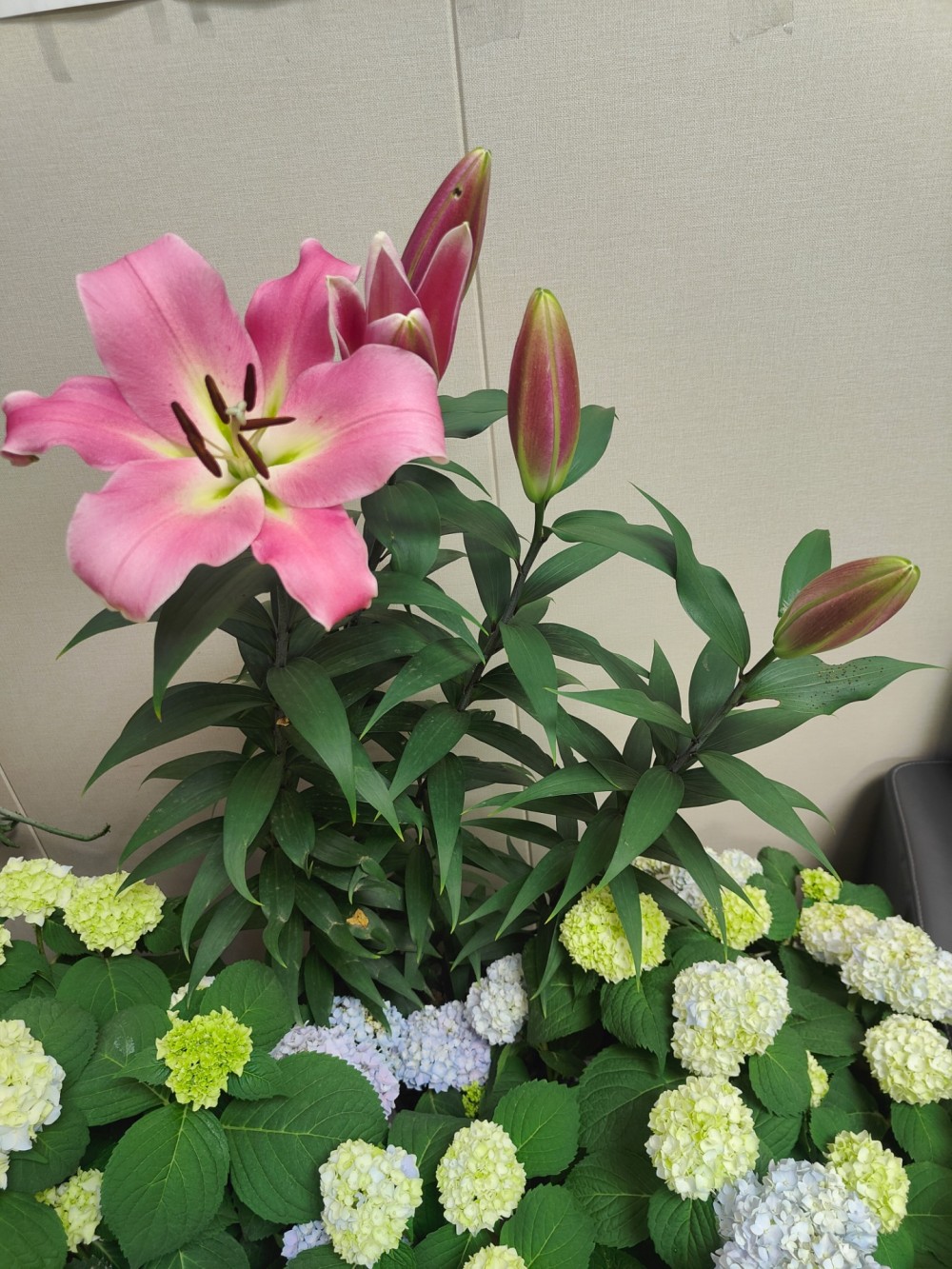IMG20250514205612.jpg