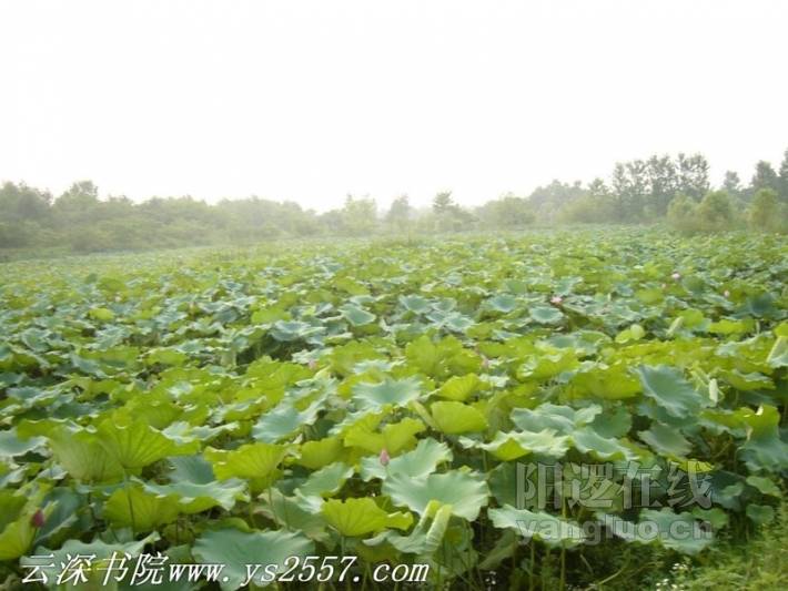 P1100183加字.jpg
