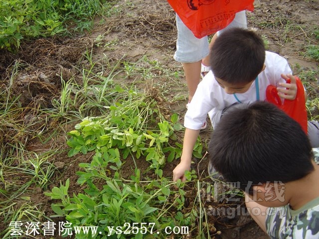 DSC00652加字.jpg