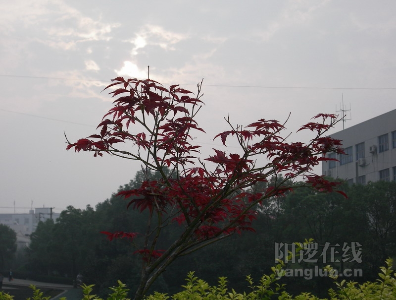 照片 013.jpg