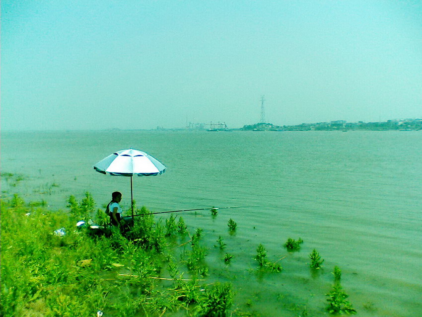 IMG078.jpg