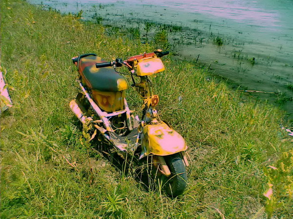 IMG084.jpg