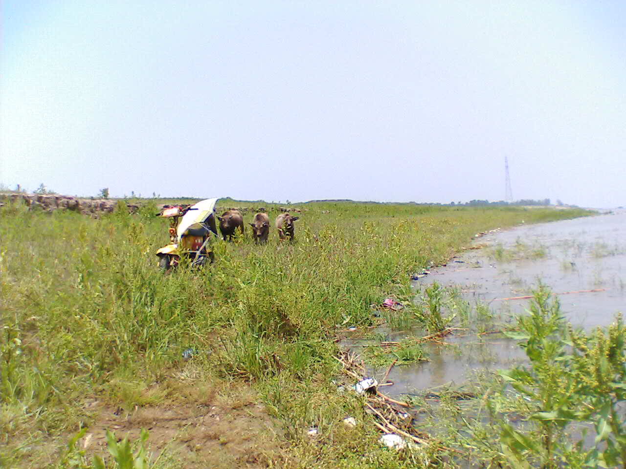 IMG094.JPG