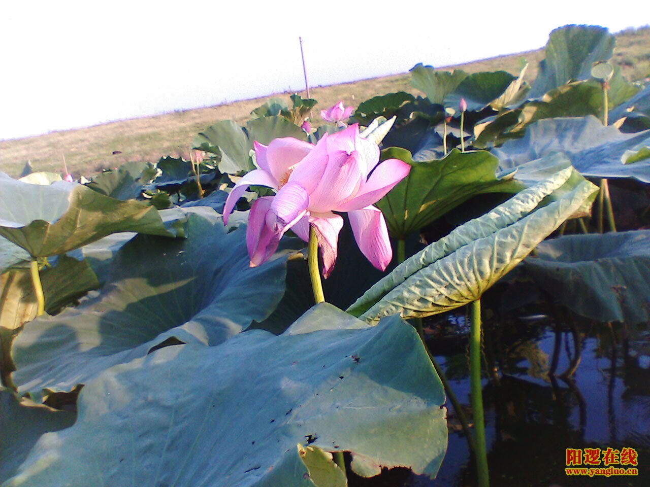 IMG069.JPG