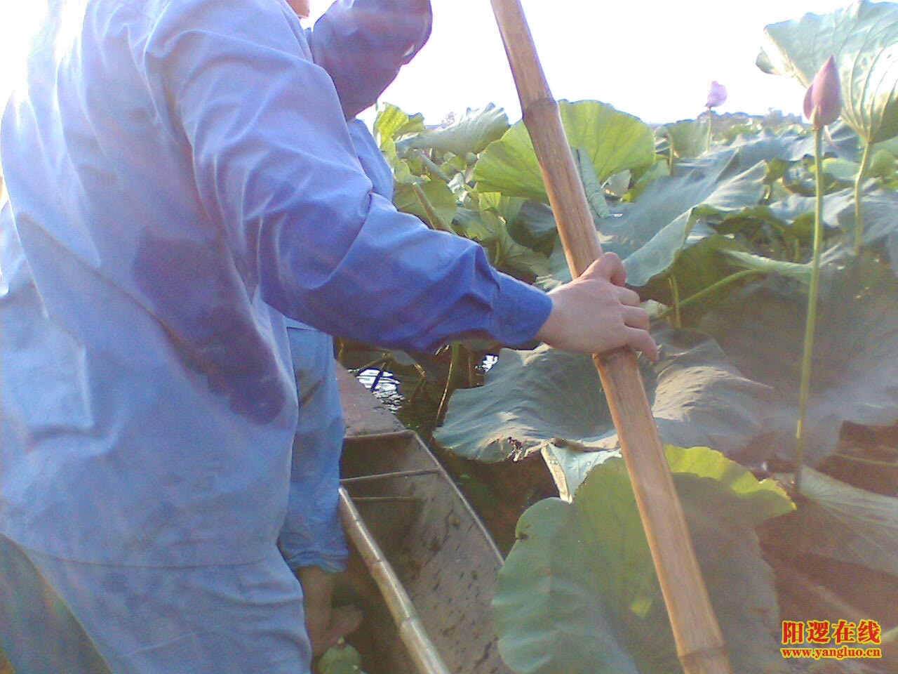 IMG059.JPG