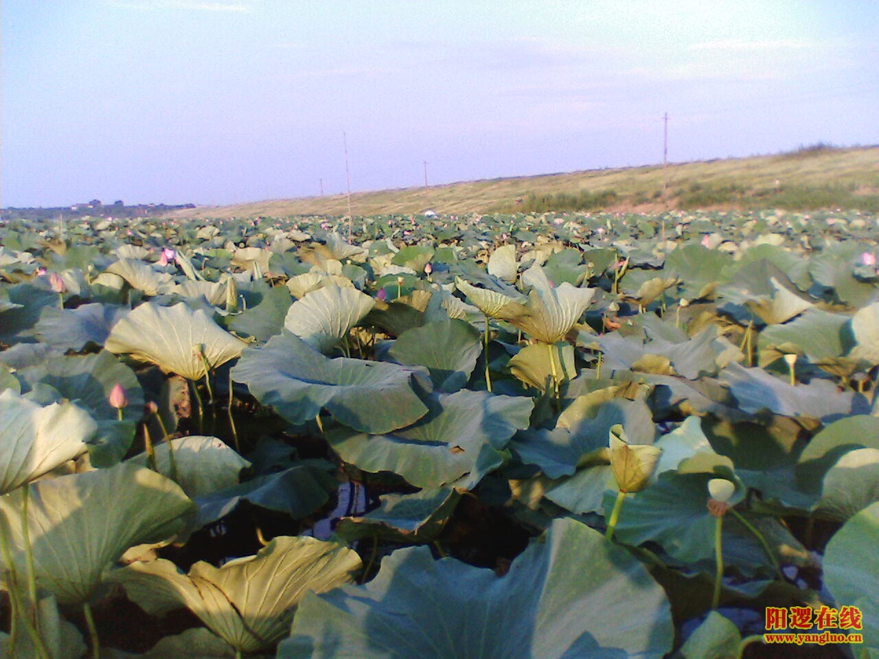 IMG065.JPG