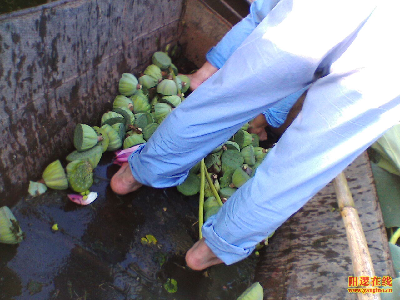 IMG071.JPG