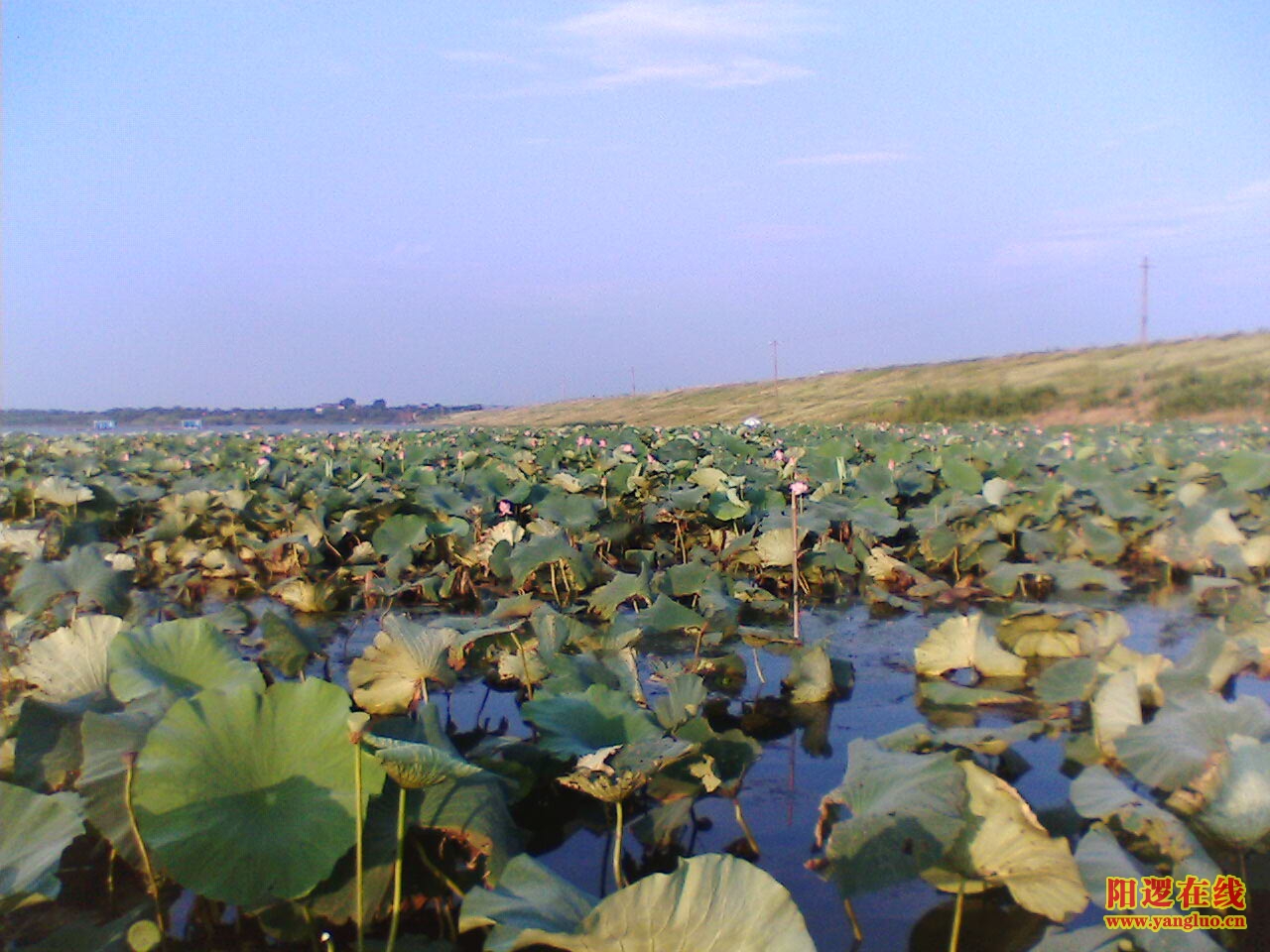 IMG048.JPG