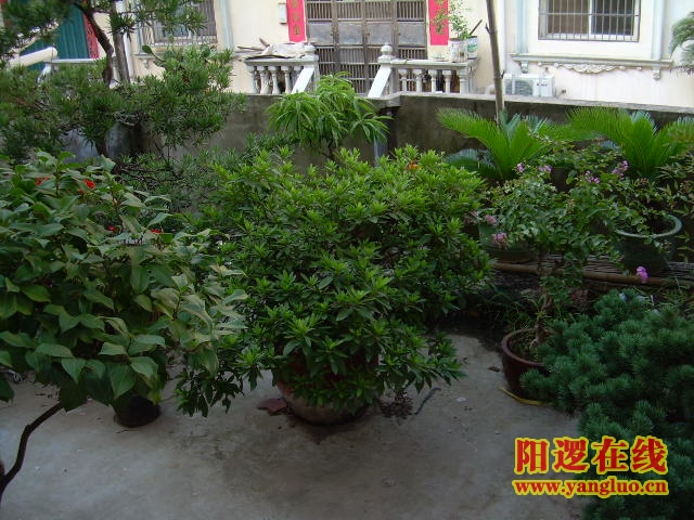 DSCN2385.JPG