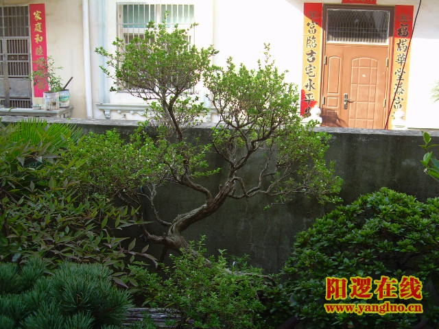 DSCN2355.JPG