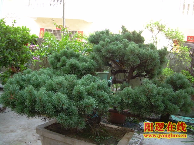DSCN2390.JPG