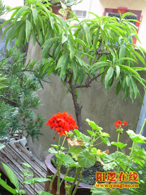 DSCN2374.JPG