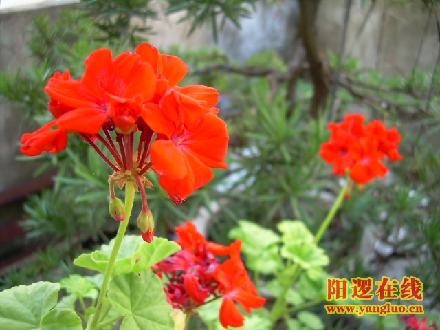DSCN2338.JPG