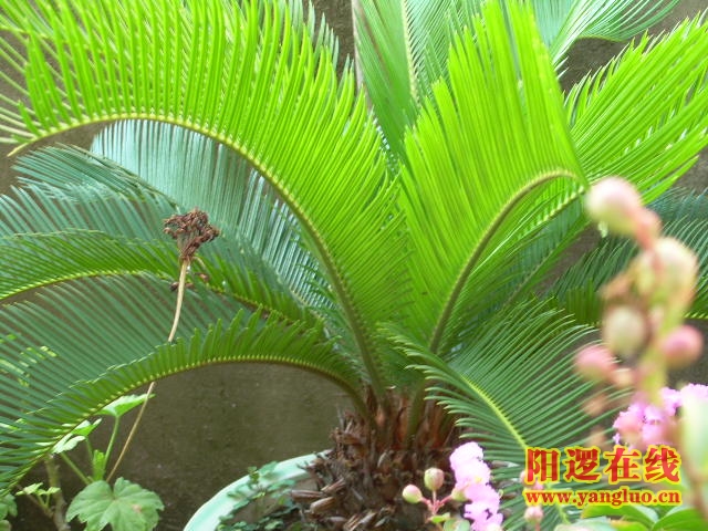 DSCN2351.JPG