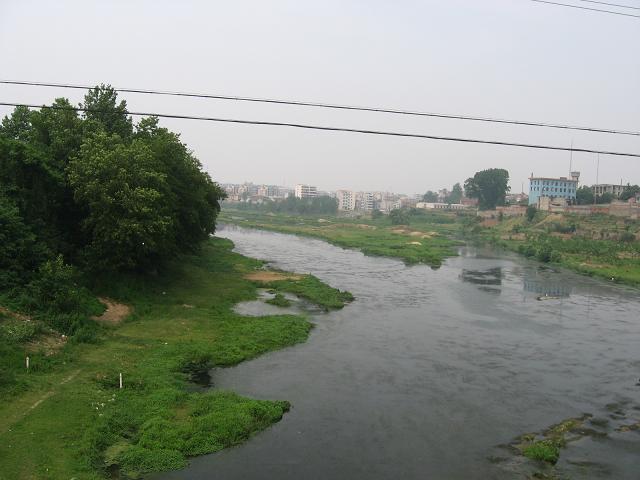 35.JPG