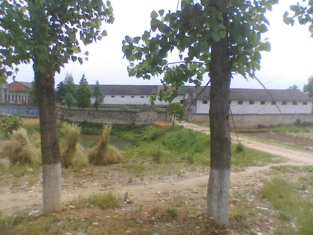 IMG035.JPG