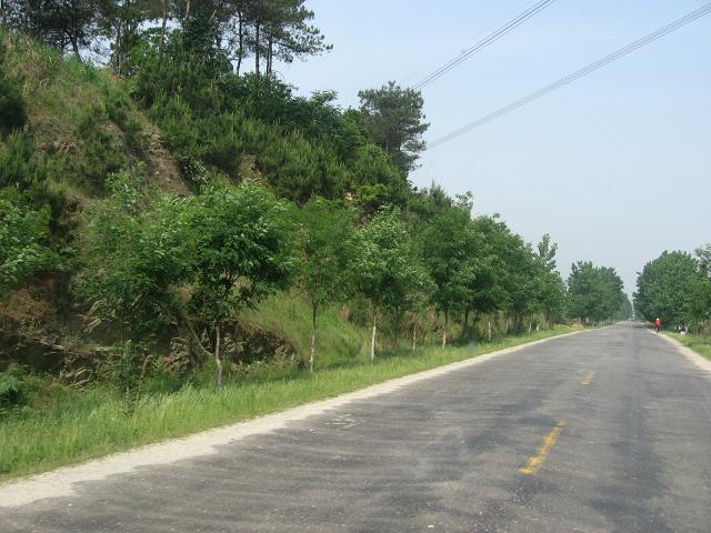 红安 - 大路边公路