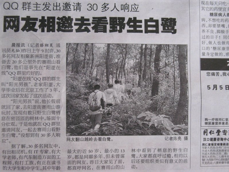 武汉晨报.jpg